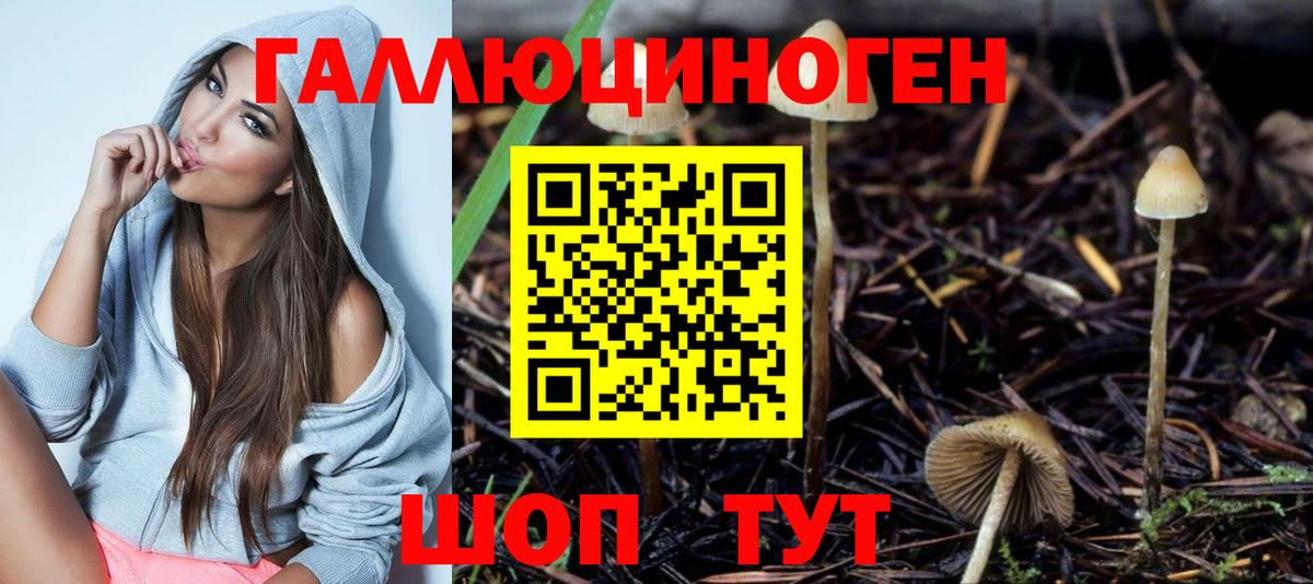 Тельмана  купить  сайты  Вход с VPN  Галлюциногенные грибы MAGIC MUSHROOMS 